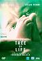 Terrence Malik_The tree of life_2011